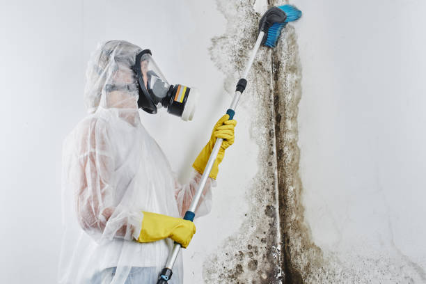 Best Biohazard Mold Removal  in Pen Mar, PA